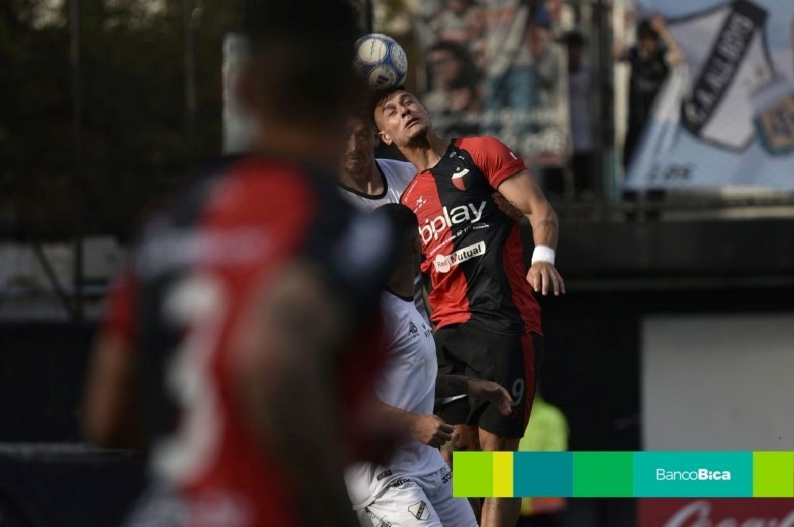 Galería Bica | Colón Vs. All Boys | Fecha 31 de la Primera Nacional. 