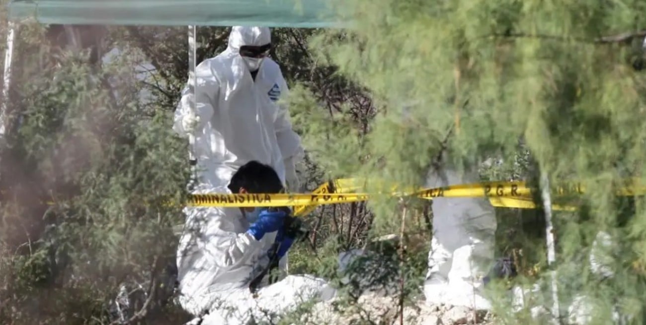 Hallaron 1.600 presuntos dientes de leche en una fosa clandestina en México