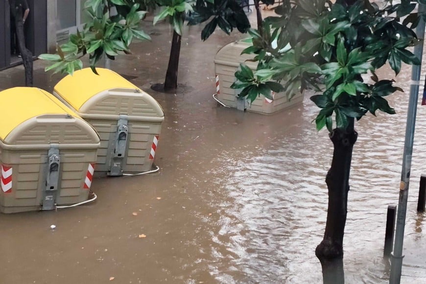 Vecinos alertaron por el problema de los contenedores de basura.