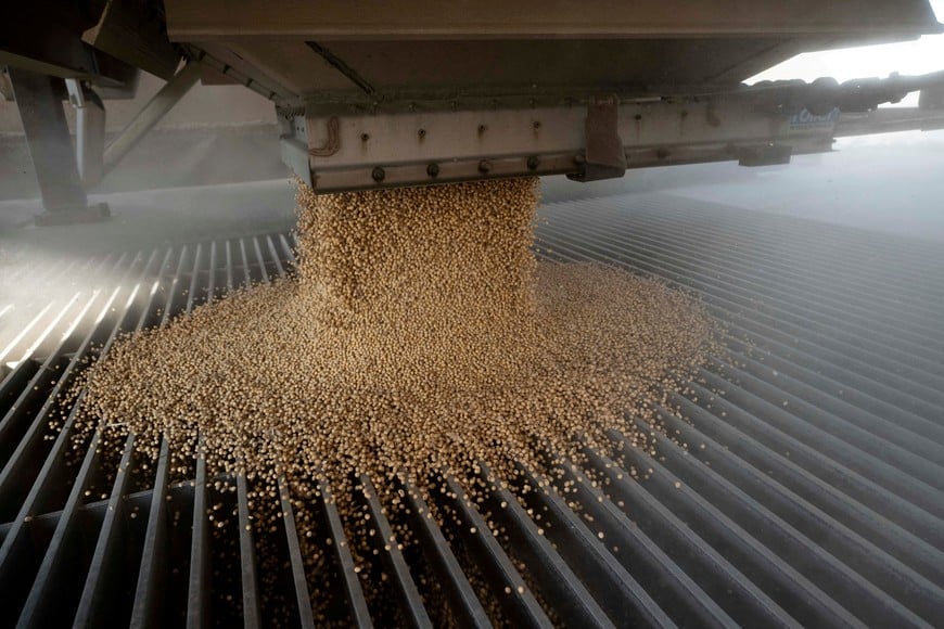 FILE PHOTO: A load of soybeans is dumped into an elevator hopper during harvest season at Deerfield AG Services grain elevator facility in Massillon, Ohio, US, October 7, 2021. Picture taken October 7, 2021. REUTERS/Dane Rhys/File Photo