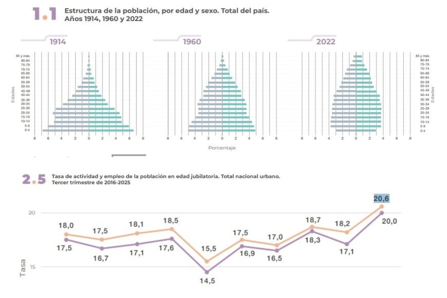La participación laboral de quienes ya alcanzaron la edad jubilatoria llegó en 2025 al mayor nivel de la serie iniciada en 2016. La tasa de actividad alcanzó 20,6% y la de empleo, 20%.
