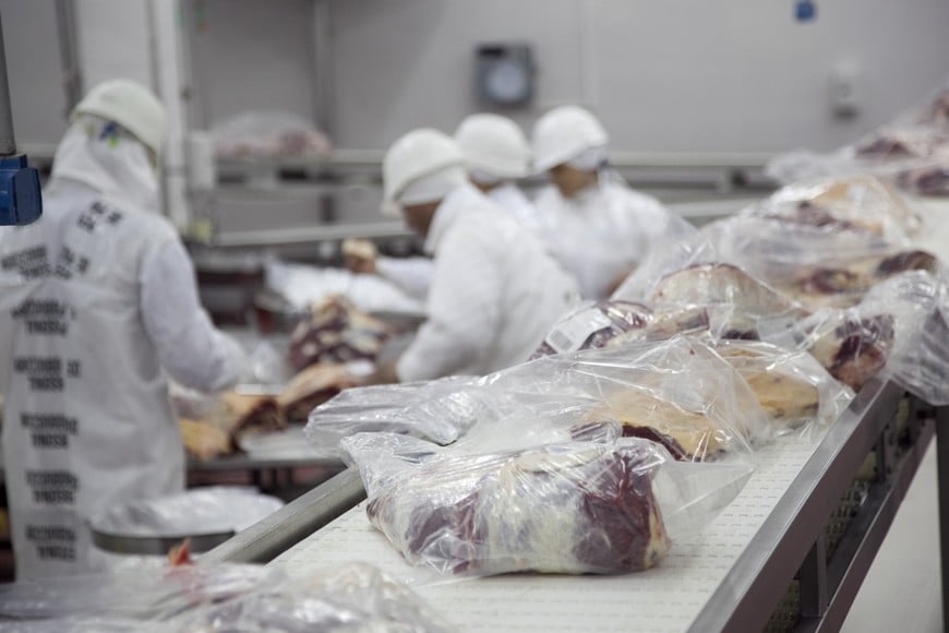 Nuevo mercado para la carne vacuna argentina: Japón amplió su habilitación sanitaria