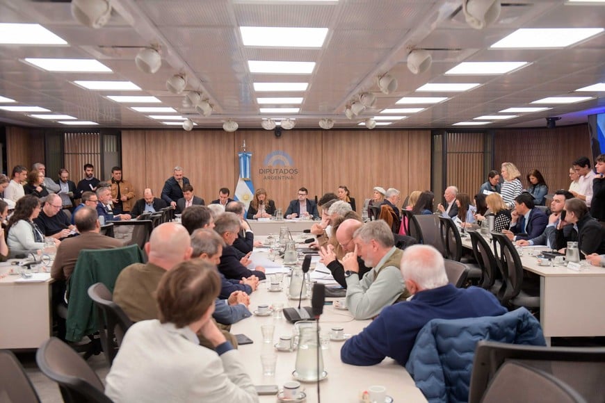 El oficialismo espera llevar al recinto el proyecto de Defensa de Soberanía Nacional el 7 de octubre.