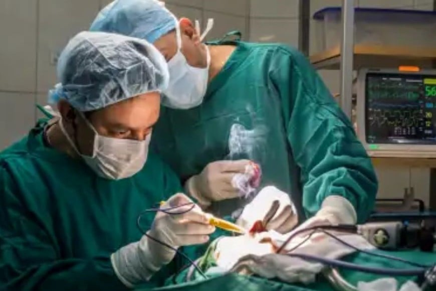 insumos medicos
