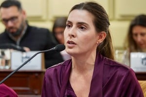 Cattalini remarcó que la propuesta rompe la lógica corporativa, equilibra el poder y garantiza la independencia judicial, promoviendo que todos los funcionarios del servicio de justicia rindan cuentas ante la sociedad con las mismas exigencias.