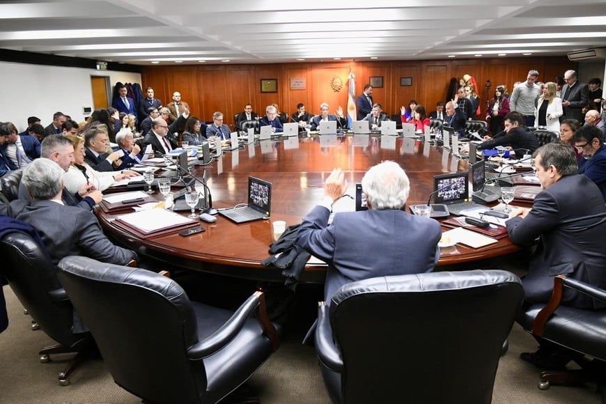 Plenario del Consejo de la Magistratura, sesión del 10 de julio de 2024. Lo preside el titular del Cuerpo, Horacio Rosatti.