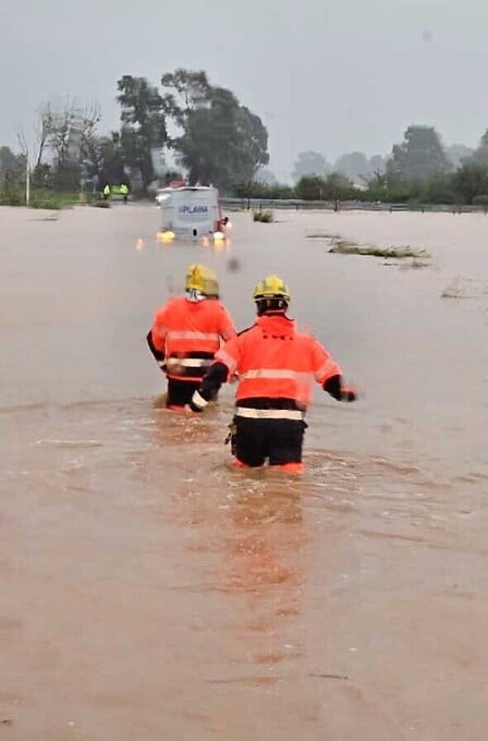 Al rescate de damnificados y animales.