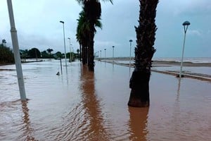 Desolador panorama en la región sur de Cataluña.