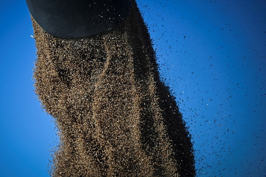 Wheat is harvested, as the country's major grain exchanges forecast a record 2025/26 wheat crop for Argentina, one of the world's top grain suppliers, in Benito Juarez, Argentina, December 26, 2025. REUTERS/Martin Cossarini