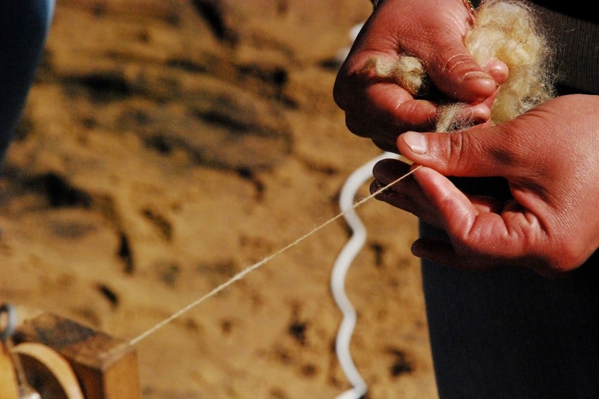 Las exportaciones de lana crecieron 28% en volumen durante la zafra 2025/2026