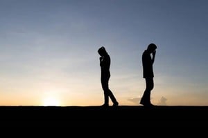 "El desamor no es la transmutación del amor en odio, sino algo más radical: el rechazo absoluto a consentir a la deuda psíquica que el lazo amoroso impone".