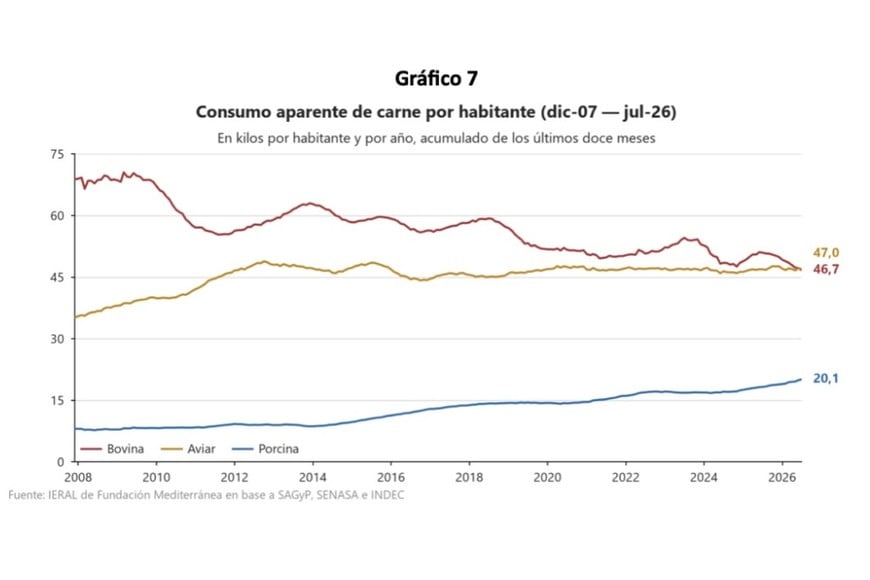 La sustitución entre carnes sostuvo el consumo total: entre agosto de 2025 y julio de 2026, el pollo llegó a 47 kilos por habitante, la vacuna a 46,7 y el cerdo alcanzó un récord de 20,1 kilos. Fuente: IERAL.
