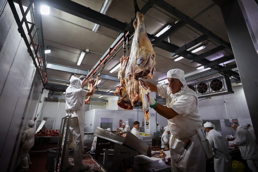 Workers process meat at the production line in a meat processing plant in Moron, Buenos Aires, Argentina May 16, 2025. REUTERS/Agustin Marcarian