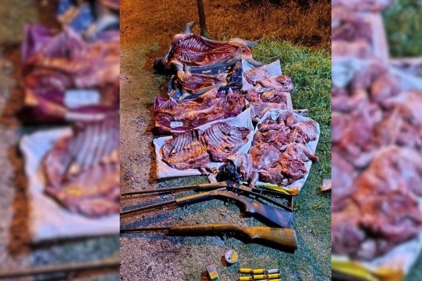 Detención de cazadores furtivos en San Javier. Foto: Gentileza