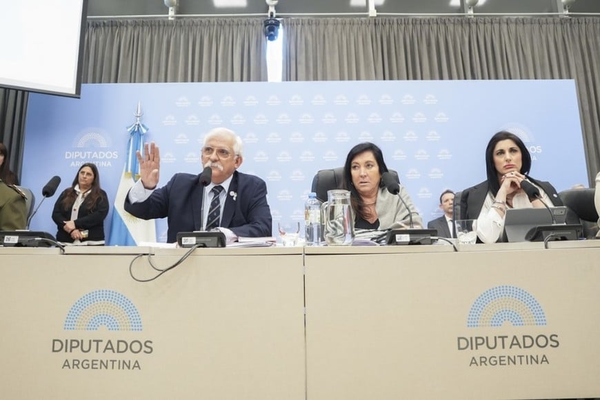 La jornada de disertaciones el pasado 30 de septiembre. Crédito: Diputados