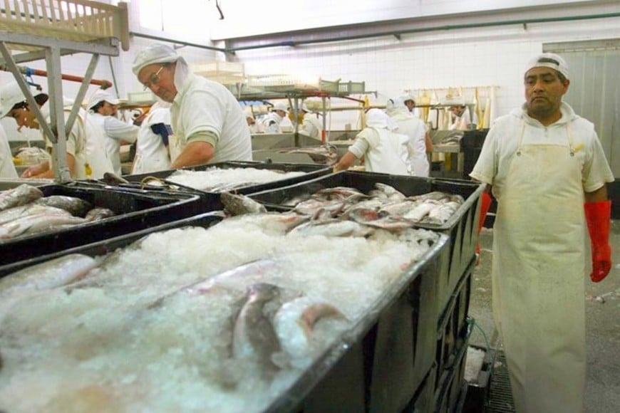 pesca