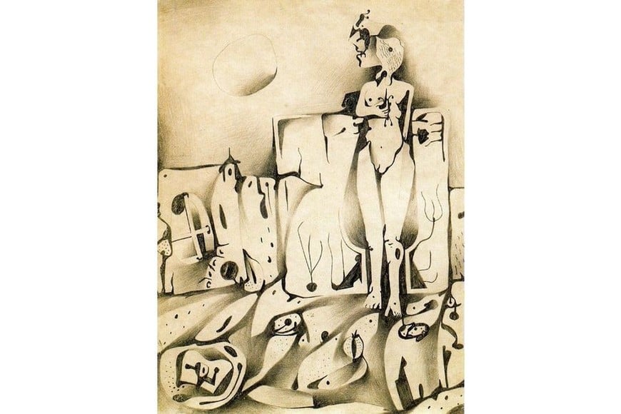 "Radiografía panorámica". Foto: Colección particular