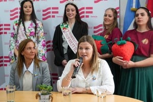 Desvío Arijón celebra la séptima Fiesta Provincial del Frutillero
