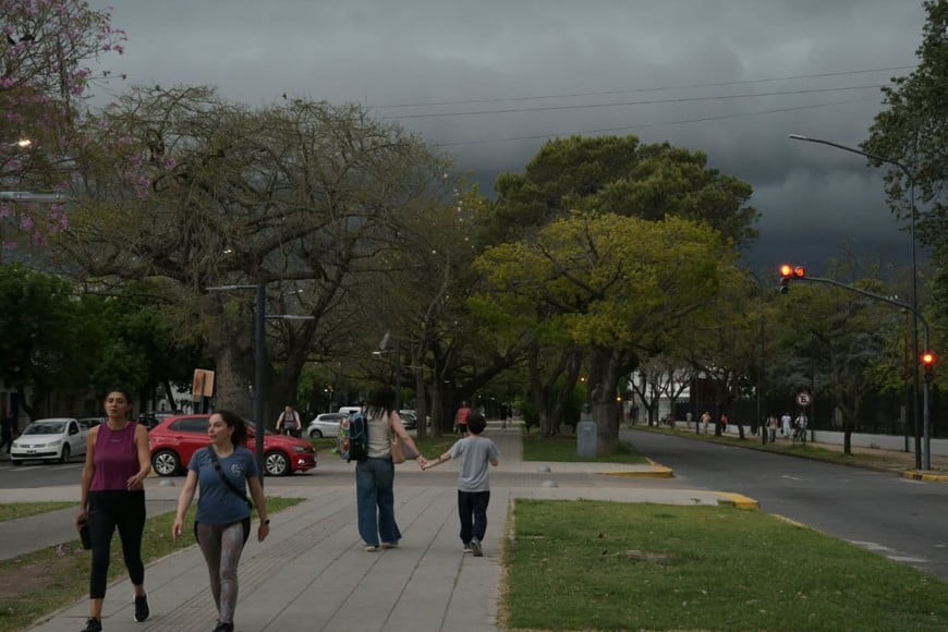 Foto: Manuel Fabatía