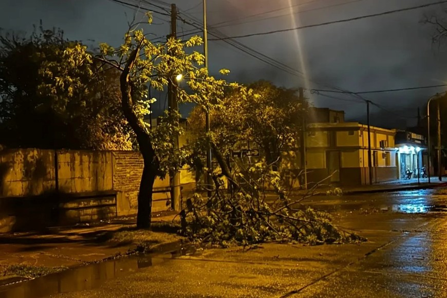 Operativo de emergencia en Rafaela tras el temporal que provocó caída de ramas y árboles. Crédito: Radio Rafaela