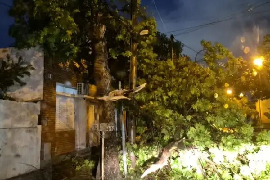 Operativo de emergencia en Rafaela tras el temporal que provocó caída de ramas y árboles. Crédito: Radio Rafaela
