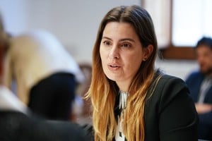La diputada socialista Lionella Cattalini.