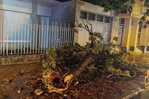 Durante las próximas jornadas, los equipos seguirán trabajando para completar el retiro de los restos y la limpieza de los sectores donde todavía permanecen materiales acumulados.