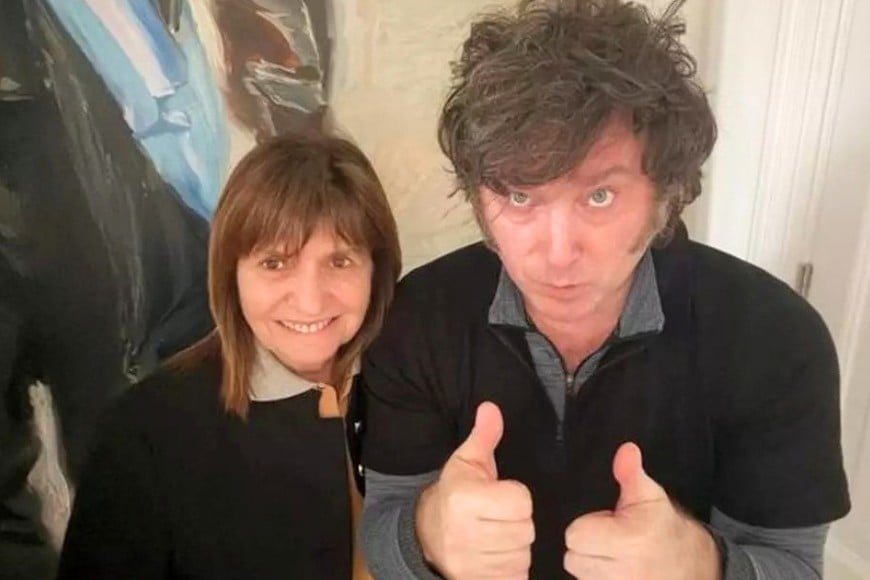 milei bullrich