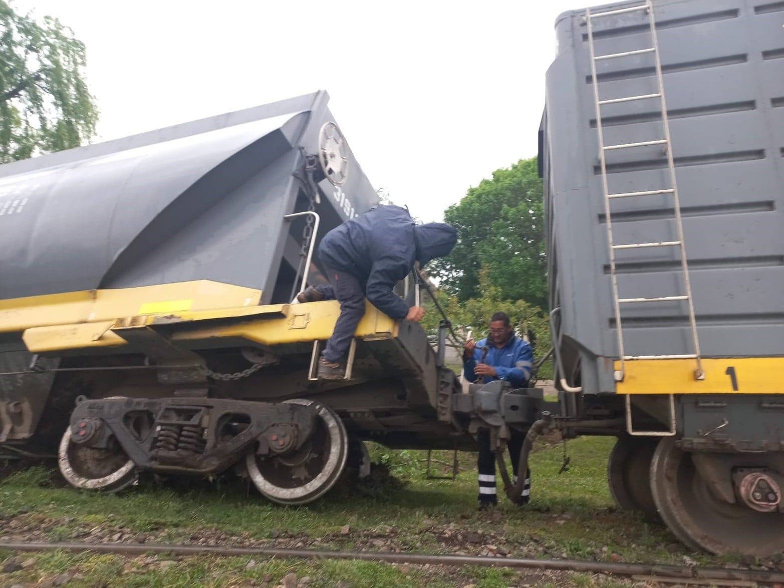 Descarrilaron dos vagones de un tren en la ciudad de Santa Fe.