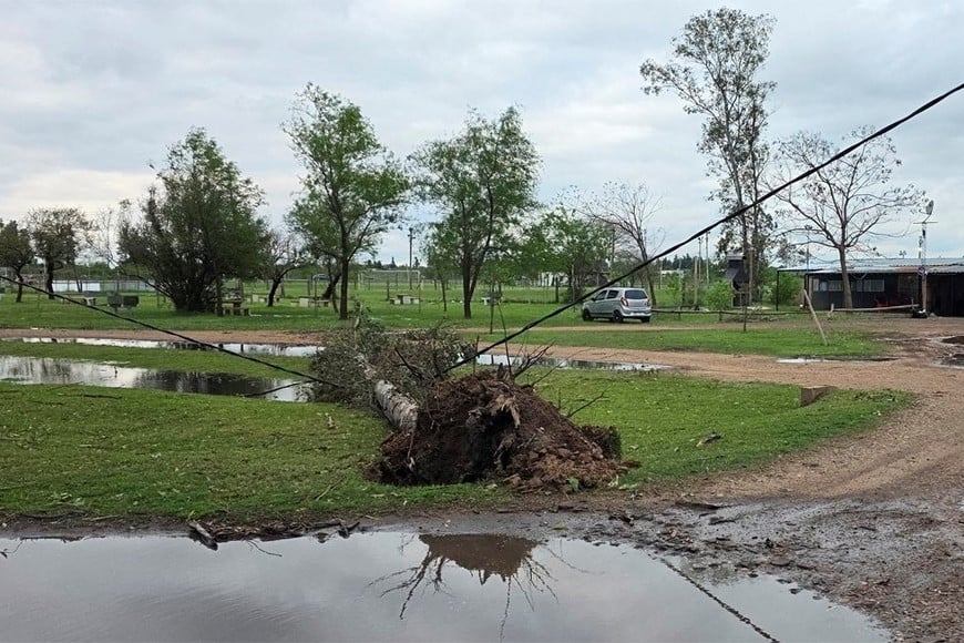 Las ráfagas tumbaron también árboles en localidades del vecinos país.