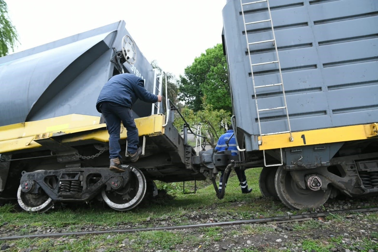 Descarrilaron dos vagones de un tren en la ciudad de Santa Fe.