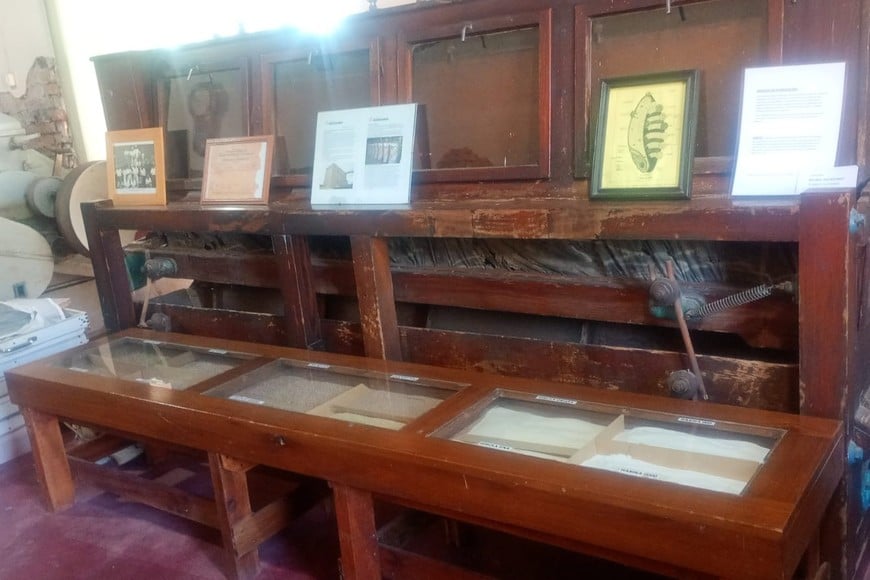 El museo será sede de varias de las actividades.
FOTO: Gentileza organizadores