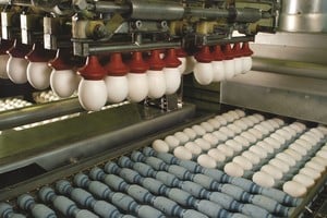 Argentina exportó 2.580 toneladas de ovoproductos por más de US$ 20 millones