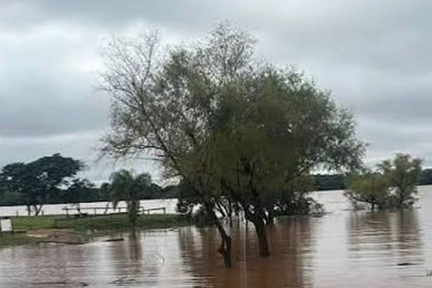 Crecida del río Uruguay: evacuaciones en Concordia y alerta roja en varias ciudades de la región