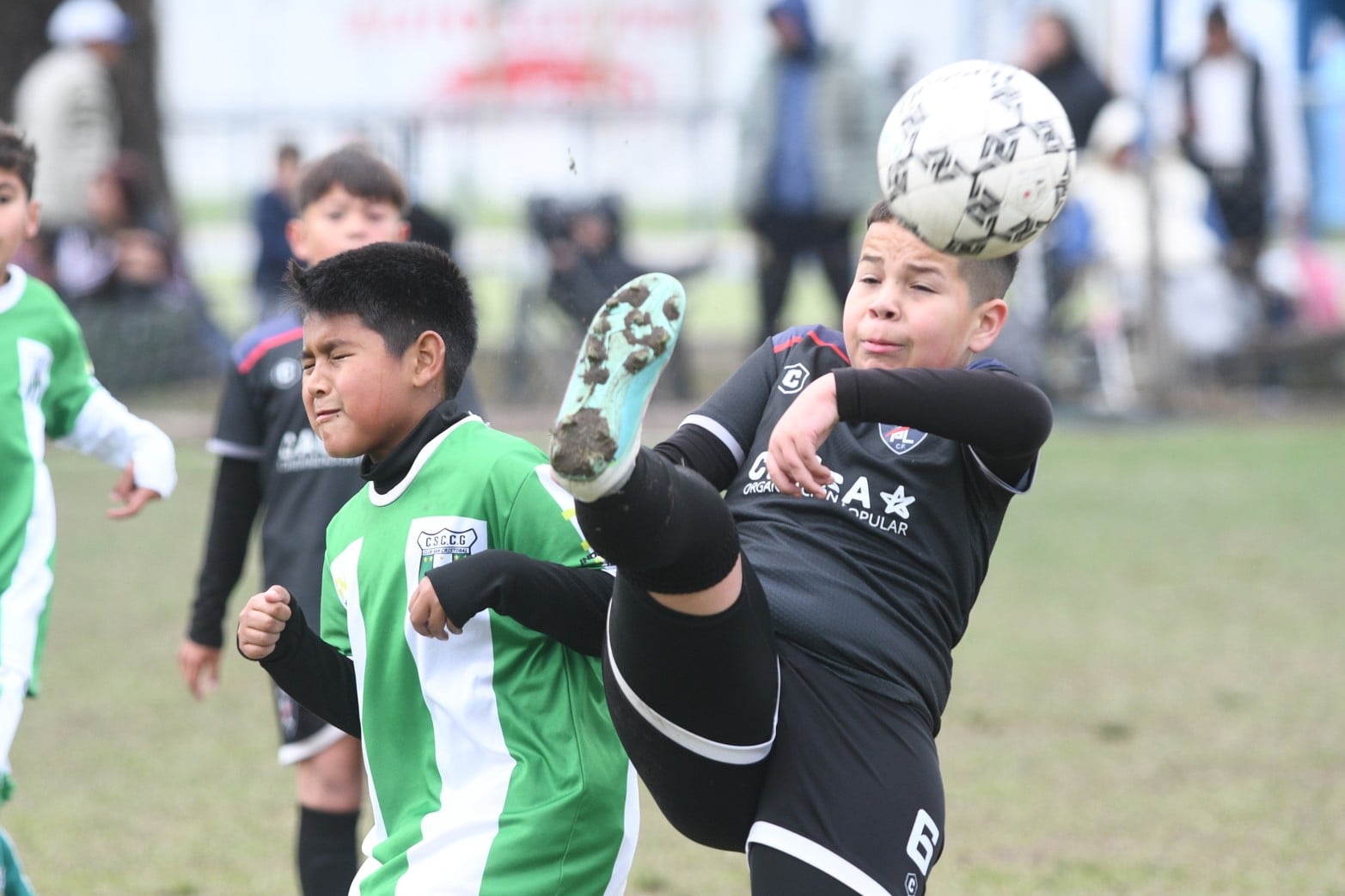 Torneo futbol infantil Lasallanito
