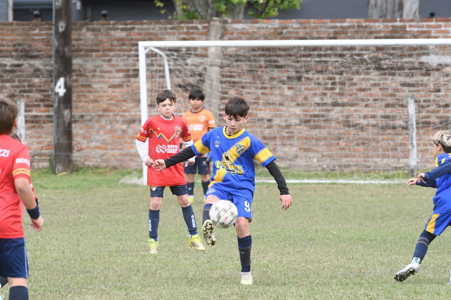 Torneo futbol infantil Lasallanito