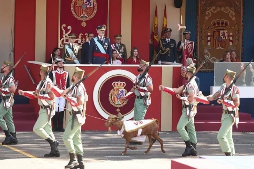El pequeño objeto terminó convirtiéndose en protagonista inesperado de la ceremonia.