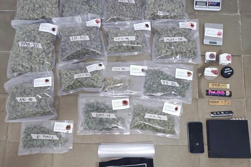 Causa por cannabis medicinal - Malabrigo: liberaron a la pareja investigada y el juez declaró incompetente a la Justicia provincial