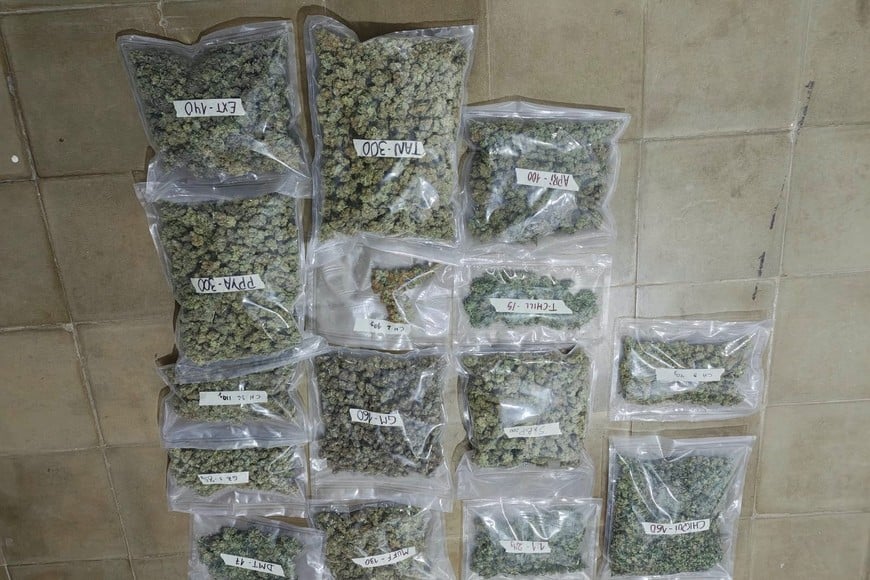 Causa por cannabis medicinal - Malabrigo: liberaron a la pareja investigada y el juez declaró incompetente a la Justicia provincial