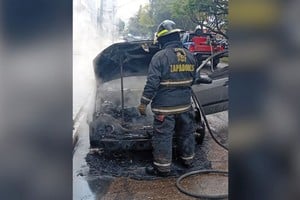 El episodio tuvo lugar en una de las zonas más transitadas de la ciudad. Foto: El Litoral