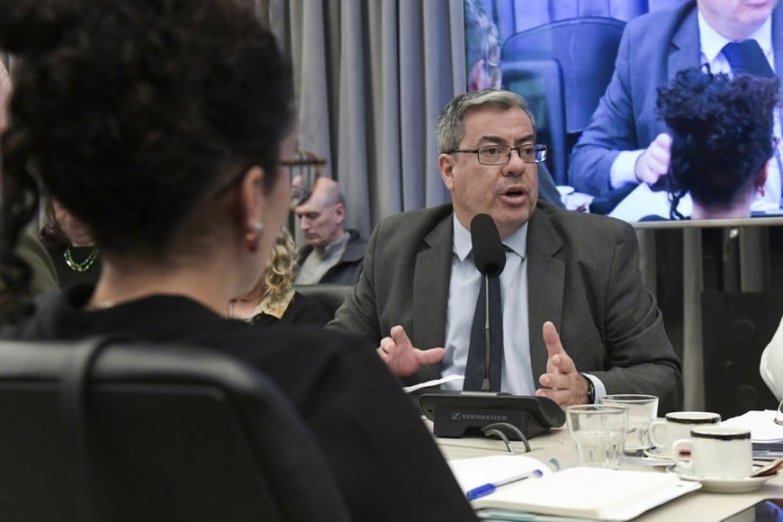 Germán Martínez. Crédito: Diputados de la Nación