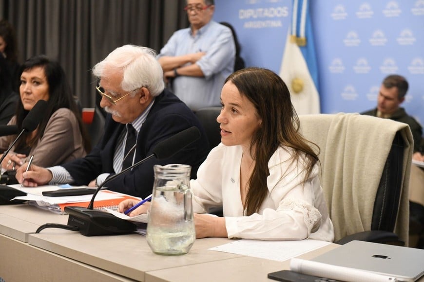 María Ibarzabal Murphy, secretaria Legal y Técnica de la Presidencia de la Nación.
HCDN