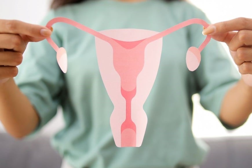 Las pruebas genéticas utilizadas para evaluar la predisposición hereditaria al cáncer analizan una muestra de sangre o saliva