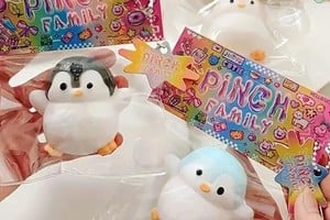 Los ftalatos son sustancias químicas utilizadas como plastificantes para modificar las propiedades de determinados materiales.