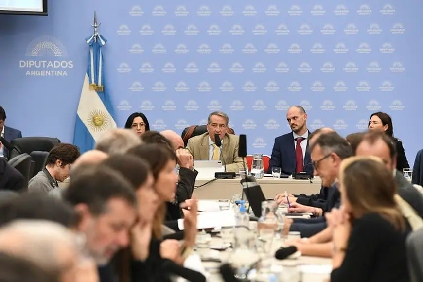Nicolás Mayoraz preside la comisión de Asuntos Constitucionales y Legislación General.
HCDN