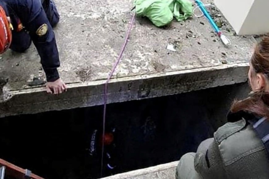 rescate perra caída en un pozo