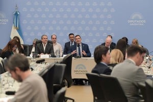 En el debate del Presupuesto 2027, Trabajo defendió la reforma laboral de Javier Milei, los incentivos a empresas y la reconversión del plan Volver al Trabajo. Foto: HCDN.