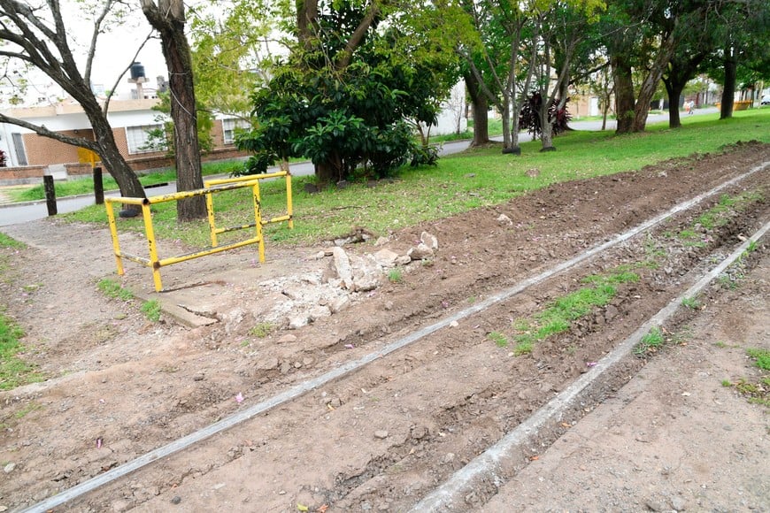 Vecinos advirtieron por las consecuencias de cada descarrilamiento. Foto: Flavio Raina