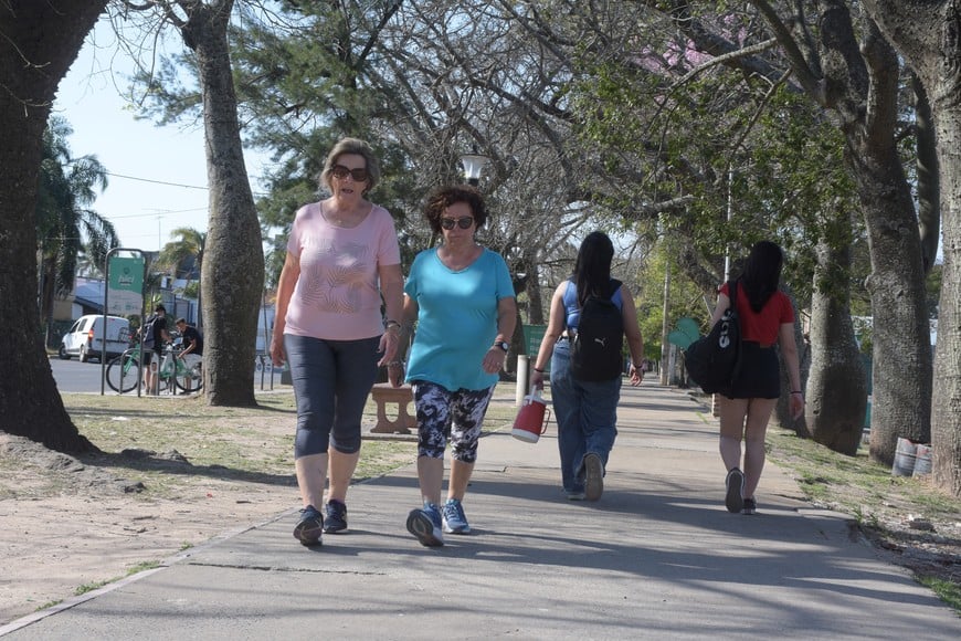En la previa del Día de la Madre, santafesinos expresaron su amor y gratitud.