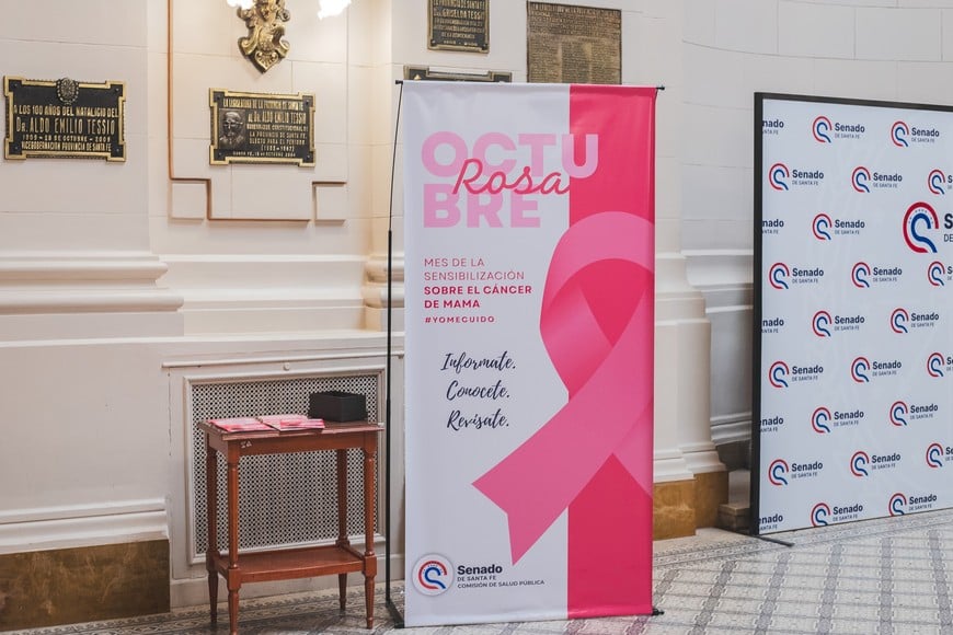 El Senado de Santa Fe se sumó a la campaña de concientización por el cáncer de mama.